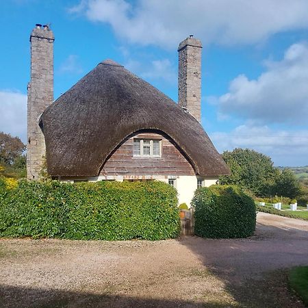 Rock House Cottage إكزيتر المظهر الخارجي الصورة